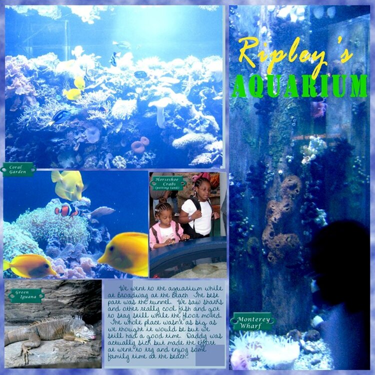 Ripley&#039;s Aquarium 1