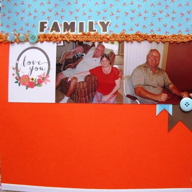 Family Love - AZ 2013
