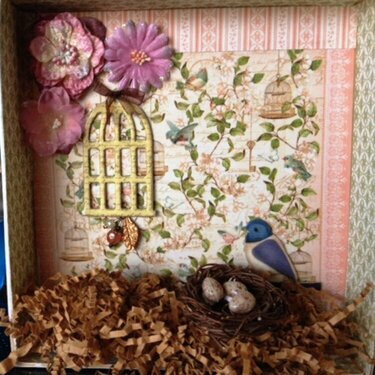 Shadow Box - Garden interior