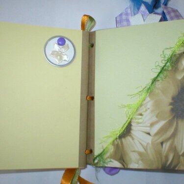 pages in my girly paper bag album