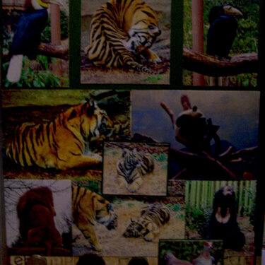 Atlanta Zoo Page 4