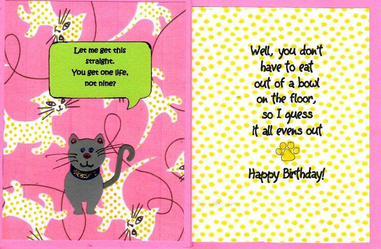 Feline birthday card