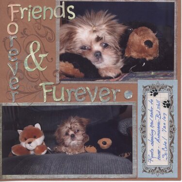 Friends Forever &amp; Furever