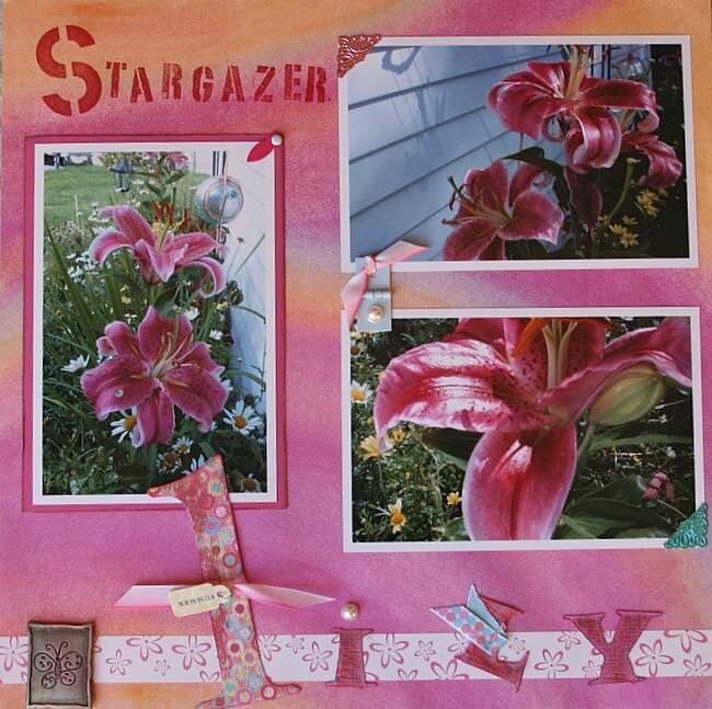 Stargazer Lily