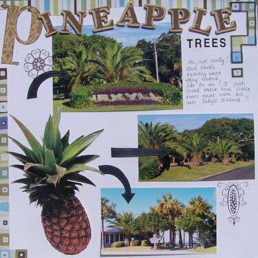 Pineapple Trees?