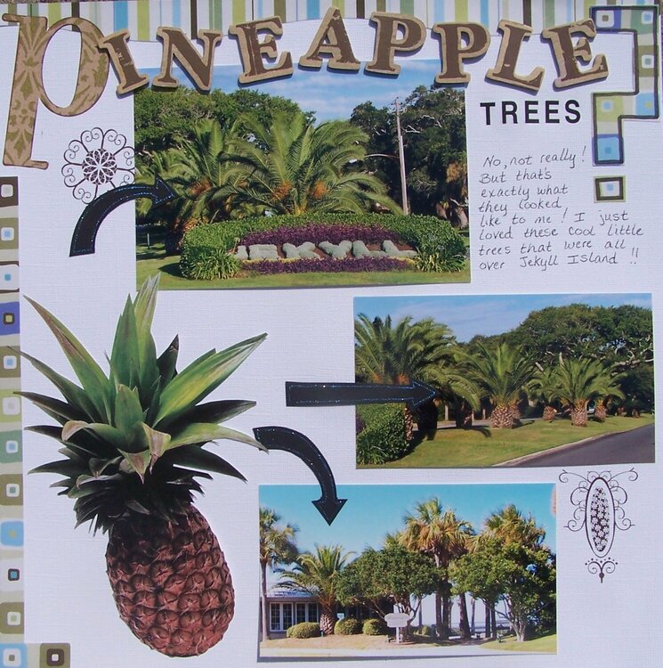 Pineapple Trees?