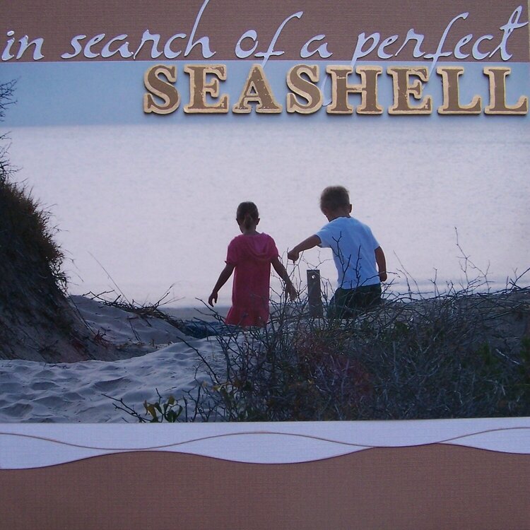 In Search of a Perfect Seashell