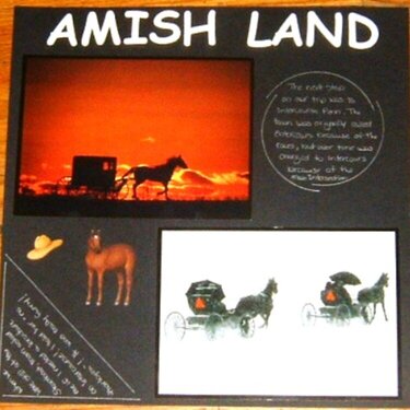 AMISH LAND