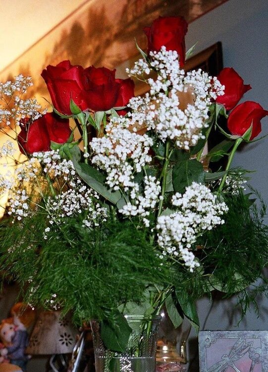 valentine&#039;s day roses #2