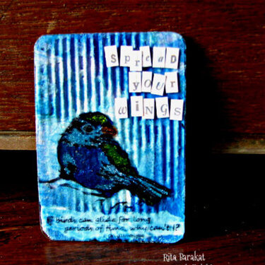 Spread your wings ATC