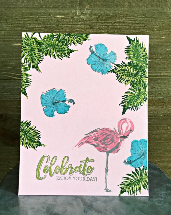 Flamingo Celebrate Card