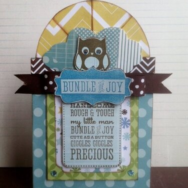 Bundle of Boy Card