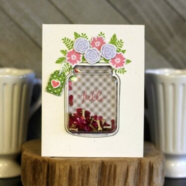 *Jillibean Soup* Hello Mason Jar Shaker