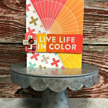 Live Life in Color Card