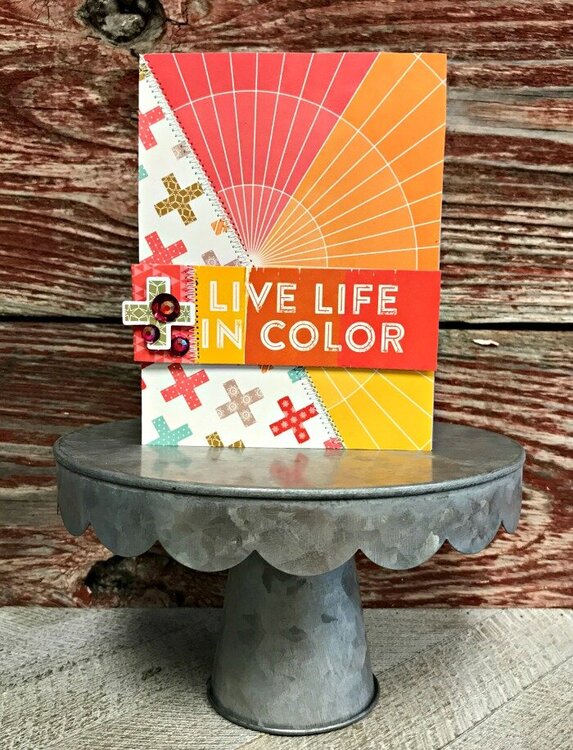 Live Life in Color Card