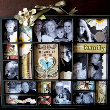 Websters Family Printers Tray