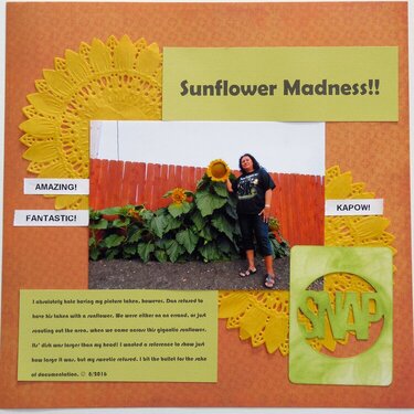 Sunflower Madness!!