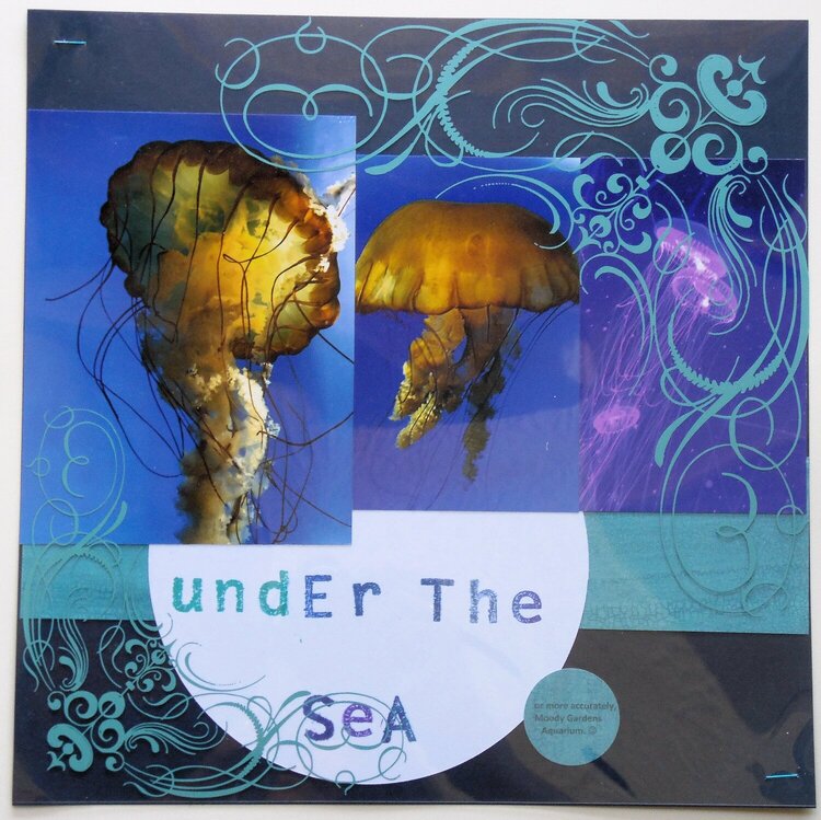 Under the Sea