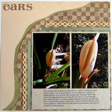 ears (dec 19th sketch)