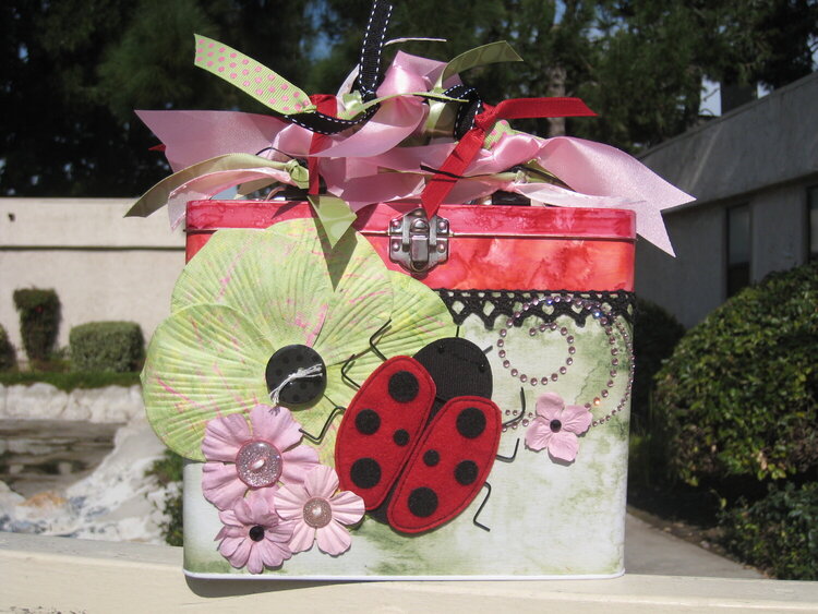 Ladybug Box