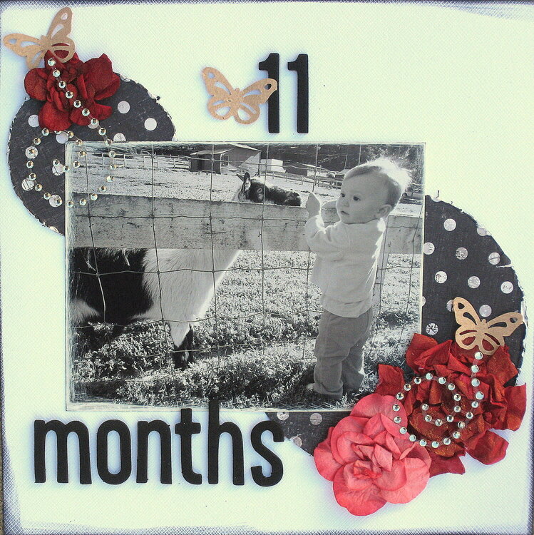 11 months