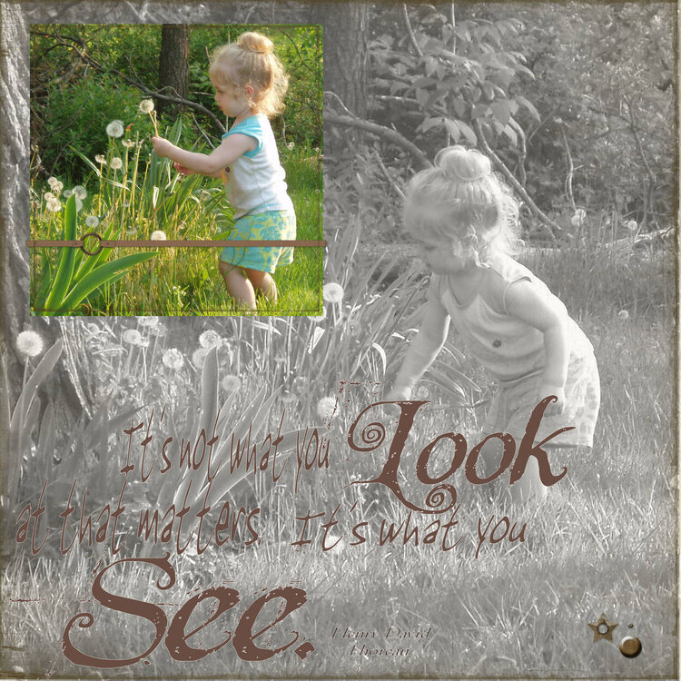 It&#039;s not what you look at that matters.  It&#039;s what you see.
