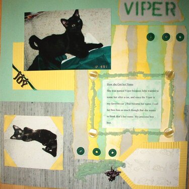My cat viper- how she got her name