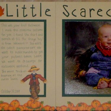 Little Scarecrow