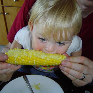 First Corn on the Cob