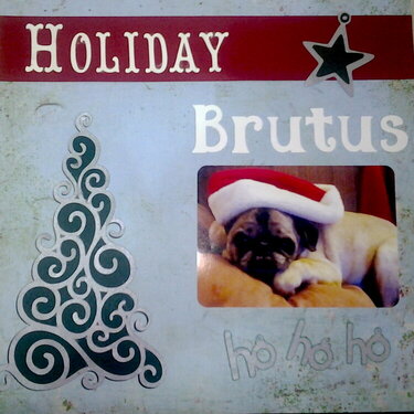 holiday brutus (pug)