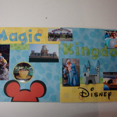 Welcome to Magic Kingdom
