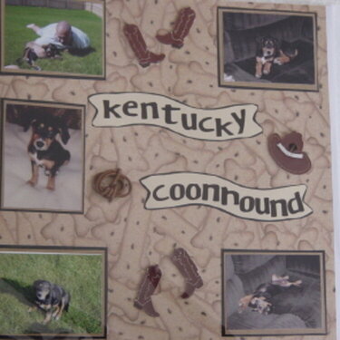 Kentucky coonhound
