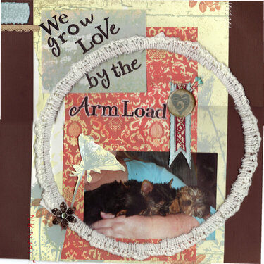 We grow love by tyhe armload
