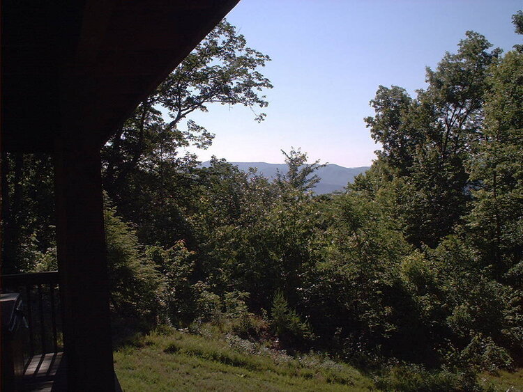 Views from our back porch at the cabin!