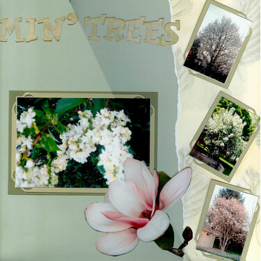 Our Bloomin&#039; Trees pg 2