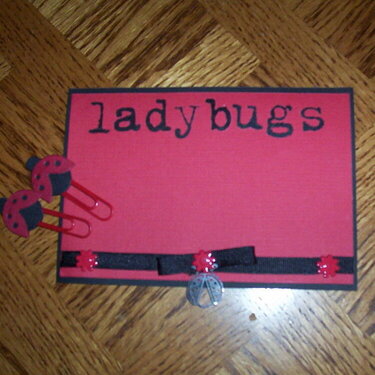 Ladybugs altered paperclips