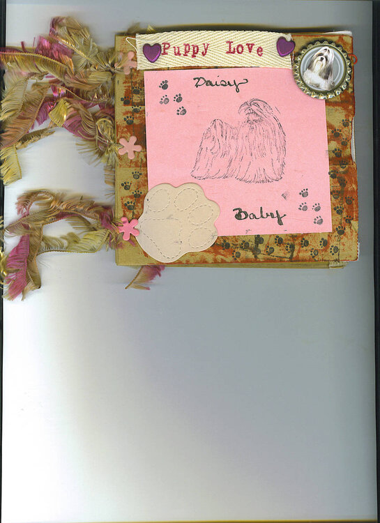 Daisy Babys -baby book