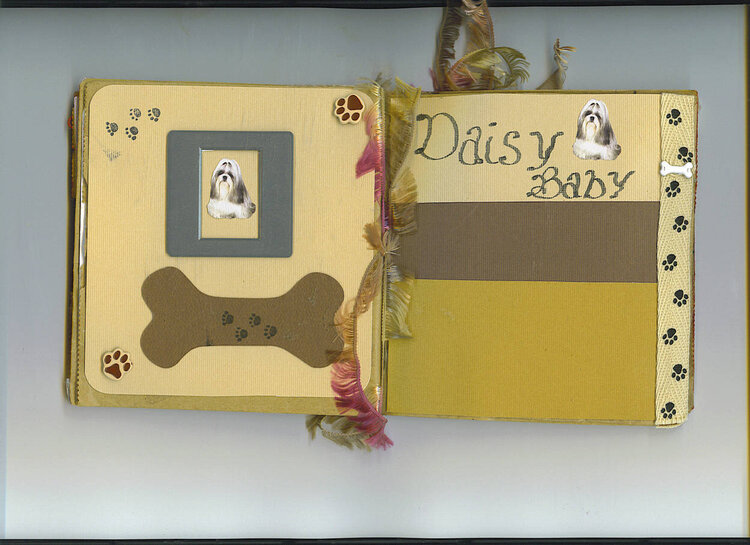 Daisy Babys-baby album
