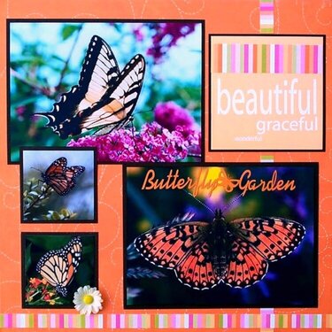 Butterfly Garden pg1