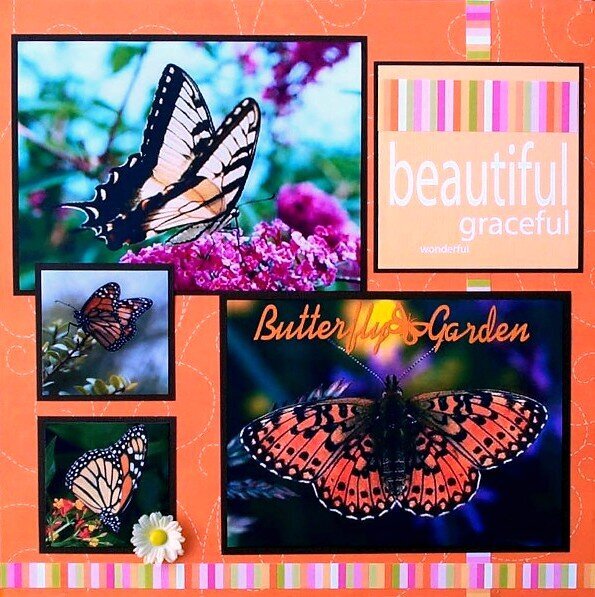 Butterfly Garden pg1