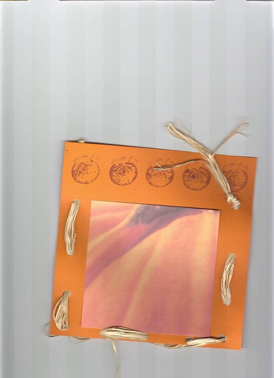 pumpkin journal box