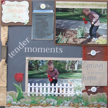 Spring(Tender Moments) Gardens pt2