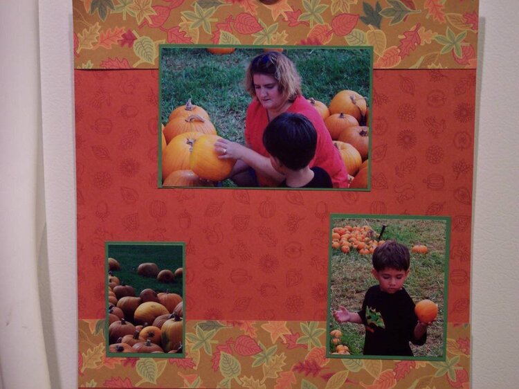 Picking out Pumpkins