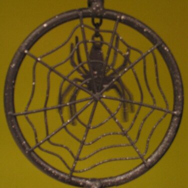 #15 spider web