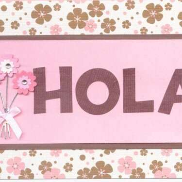 hola card