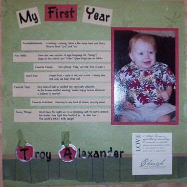 Troy&#039;s First Year