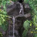 # 14 Waterfall 4 pts