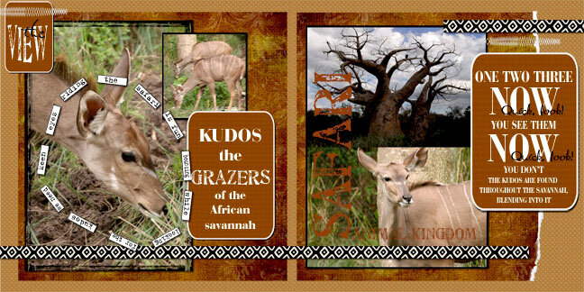 disney animal kingdom african safari