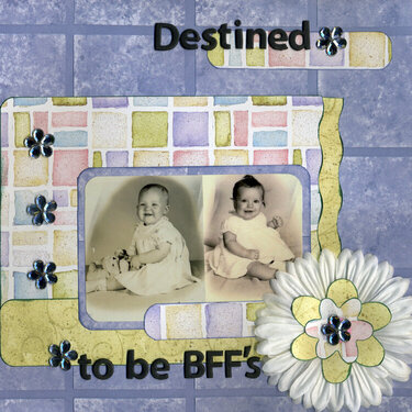 Destined to be BFF&#039;s -- Week 8