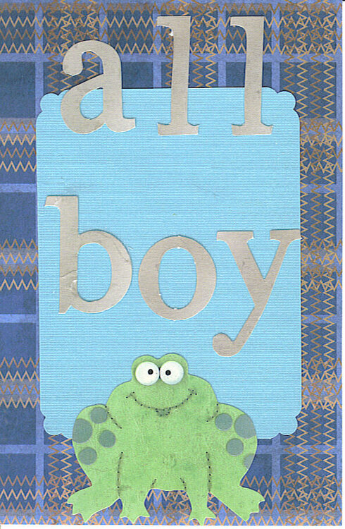 Baby Boy Book